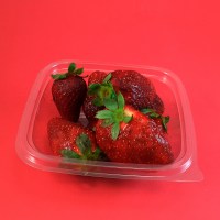 125x125x40mm_250ml_transp_pet_2