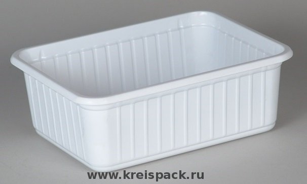 kont_pod_griby_bel