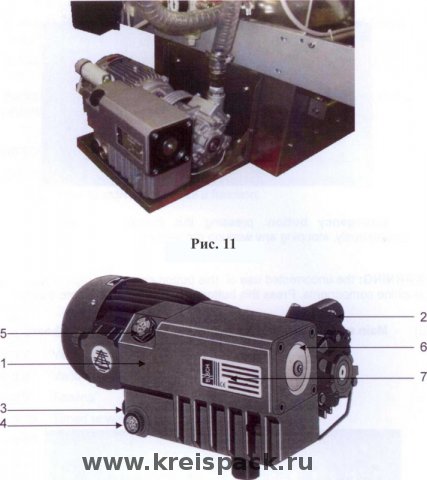 ris11